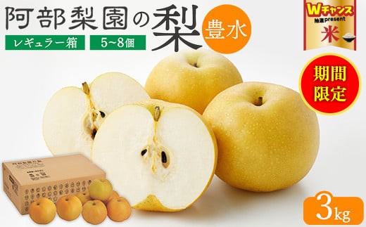＼9末まで 寄附額改定／阿部梨園の梨（3kg　レギュラー箱）豊水　※離島への配送不可　※2025年9月上旬～9月下旬頃に順次発送予定