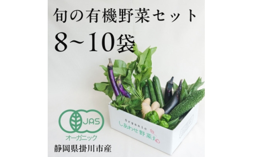 ＜毎月定期便＞しあわせ野菜畑の有機野菜　Mセット　(安心の有機JAS認証　オーガニック野菜)全3回【4066008】