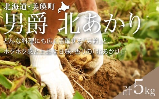 【先行予約】じゃがいも（男爵・北あかり）計5kg <令和7年産 >黒木農場  | 人気 おすすめ ランキング いも 芋 イモ じゃがいも ジャガイモ 男爵 北あかり きたあかり キタアカリ 北海道 野菜[006-25]