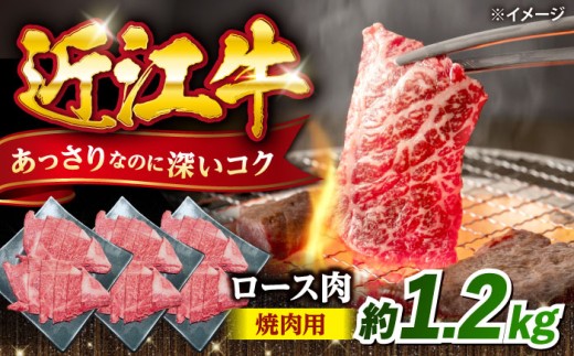 近江牛焼肉ロース1.2kg 滋賀県長浜市/有限会社旭ミイト [AQDB025] 近江牛 牛肉 赤身 スライス 焼き肉 BBQ バーベキュー 国産牛肉 牛肉 肉 お肉 おにく 和牛ブランド 牛国産 産地直送 お取り寄せ 人気 プレゼント ギフト 贈答 2258098 - 滋賀県長浜市