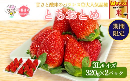 ＼9末まで 寄附額改定/[先行予約]とちおとめ320g×2パック 3Lサイズ | いちご 苺 イチゴ フルーツ 果物 国産 平積み 甘い 糖度 旬 新鮮 フルーツ アレンジ スイーツ いちごジャム フルーツサンド ※2026年1月中旬〜4月中旬頃に順次発送予定