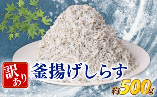 訳あり 釜揚げしらす 約500g しらす 冷凍 大容量 惣菜 便利 弁当 晩ごはん 白州 白子魚介類 魚介類 海鮮 わけあり 小魚 魚 鮮魚 グルメ 人気 海の幸 ふりかけ ちりめん しらすご飯 国産 じゃこ しらす丼 人気 塩分控えめ 減塩 安芸市 高知県
