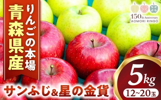 りんご【サンふじ＆星の金貨】セット 約5kg（計12～20玉）【2025年産・先行予約】★2025年11月中旬～12月中旬頃まで発送予定★ りんご 林檎 リンゴ 果物 フルーツ 国産 贈答 土産 青森県 三戸町 H2832 2250006 - 青森県三戸町