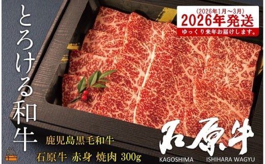 2472 《2026年1～3月に配送！》世界が絶賛した“とろける和牛”幻の石原牛 赤身焼肉300g ( 鹿児島黒毛和牛 ブランド牛 牛肉 ビーフ こだわり プレミアム オメガ３脂肪酸 贈答 ギフト 徳之島 奄美 鹿児島 美味しい 赤身 脂身 ステーキ 焼肉 BBQ 世界基準 石原PRO 来年発送 )