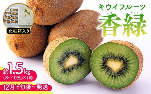 【11月下旬頃～発送】キウイフルーツ 香緑 (こうりょく) 約1.5kg 化粧箱入り 595936 - 香川県さぬき市