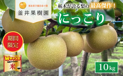 ＼9末まで 寄附額改定／にっこり 10kg 12～16玉 ｜ 栃木県産 宇都宮市 梨 なし にっこり フルーツ 果物 ※離島への配送不可 ※2025年10月上旬頃より順次発送予定