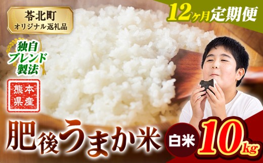 【12か月定期便】米 白米 熊本県産 肥後うまか米 10kg 精米 こめ  コメ お米 おこめ ブレンド米《申込月の翌月から出荷開始》熊本県産  コメ お米 おこめ 2270608 - 熊本県苓北町