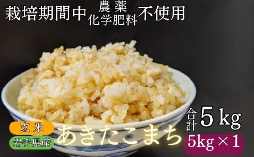 [ 2025年 11月上旬より発送] 岩手県産 新米 あきたこまち 玄米 5kg / 農薬 化学肥料 :栽培期間中 不使用 武田家のお米[米農家 仁左ェ門] 米 こめ コメ ご飯 ライス おにぎり 弁当 単一原料米 5キロ 5kg 産地直送 農家直送 国産 おすすめ 人気