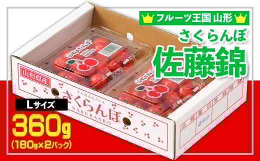 ☆フルーツ王国山形☆さくらんぼ 佐藤錦 Lサイズ 360g(180g×2パック) 【令和8年産先行予約】FS25-558 くだもの 果物 フルーツ 山形 山形県 山形市 2026年産