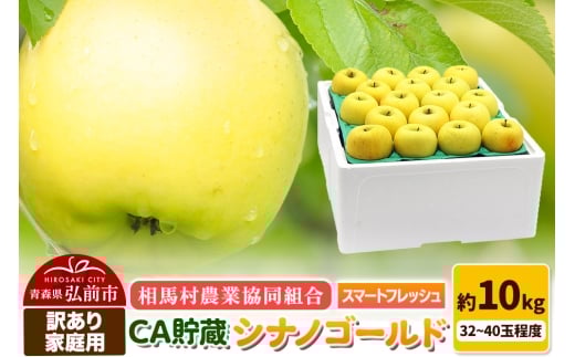 [26年3月発送]りんご[訳あり]家庭用 シナノゴールド約10kg(32〜40玉程度)CA スマートフレッシュ[レビューキャンペーン]