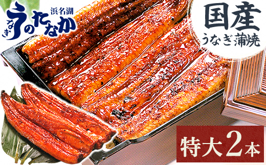 浜名湖・うなぎのたなかの長蒲焼2本セット!ふっくら柔らか♪国産うなぎ長蒲焼※合計360g程度_うなぎ ウナギ 鰻 国産 蒲焼 蒲焼き かばやき 土用 丑の日 静岡県 たれ 山椒 美味しい 簡単調理 レンジ調理 うな重 ひつまぶし 産地直送 贈答 ギフト 冷凍 送料無料【1417614】