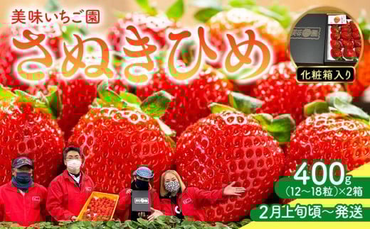 【2月上旬頃～発送】美味いちご園「さぬきひめ」さぬきひめ 400g 化粧箱入り×2箱 592967 - 香川県さぬき市