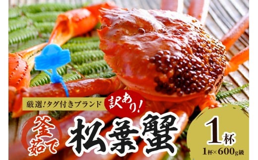 【訳あり！！タグ付きブランド】茹で松葉かに 鮮度抜群、釜茹でにてお届け！！ 600g級（足1本落ち）×1杯　YK00501