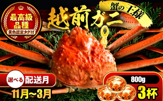 【年内配送】【先行予約】 【2月配送】 越前がに 800ｇ×3杯 小浜市 / まるほ商店 【配送不可地域：北海道・沖縄・離島】[BFCS026-2] 2220409 - 福井県小浜市