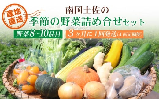 【3ヶ月に1回お届け 全4回コース】南国土佐の季節の野菜詰め合せセット | 定期便 セット 詰め合わせ 旬 やさい 野菜 卵 農家直送 お楽しみ かぼちゃ カボチャ キャベツ きゃべつ トマト とまと 玉ねぎ たまねぎ タマネギ きゅうり キュウリ 旬野菜 夏野菜 春野菜 人気 高知県 南国市