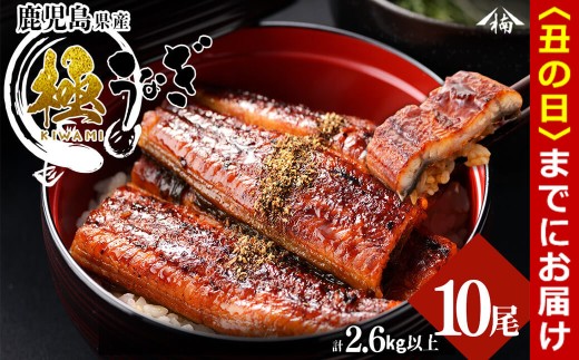 【丑の日までに配送】楠田の極うなぎ 蒲焼き 260g以上×10尾(計2.6kg以上) wa24-003-us