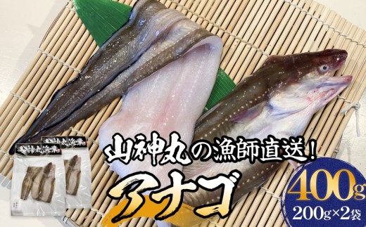 山神丸の漁師直送！アナゴ2パック