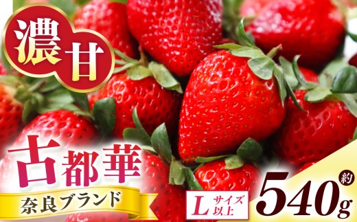 古都華 約540g （270g×2P）Lサイズ以上 | フルーツ くだもの 果物 いちご イチゴ ことか コトカ 古都華 オリジナル 糖度 酸味 希少 贈り物 ご褒美 奈良県 五條市 2214435 - 奈良県五條市