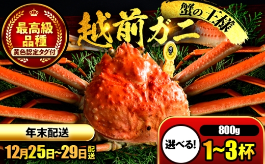 【先行予約/12月25日より順次発送】【年末希望】 越前がに 800ｇ×1杯 ズワイガニ ずわいがに ボイル 冷蔵 小浜市 / まるほ商店 【配送不可地域：北海道・沖縄・離島】[BFCS039] 1471035 - 福井県小浜市
