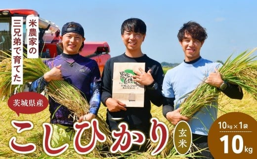 【令和7年度新米】龍ケ崎の美味しいコシヒカリ(玄米) 10kg(10㎏×1袋) ❙ こしひかり お米 米 こめ 白米 玄米 新米 冷めてもおいしい 美味しい こだわり おにぎり 茨城県 龍ケ崎市産