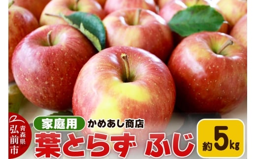 【25年11月発送】りんご 葉とらず ふじ【家庭用】約5kg ゴールド農園【レビューキャンペーン】