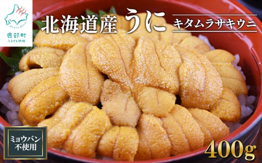 北海道産 うに400g （100g×4） キタムラサキウニ ミョウバン不使用 ふり塩うに 冷凍保存 1072513 - 北海道鹿部町