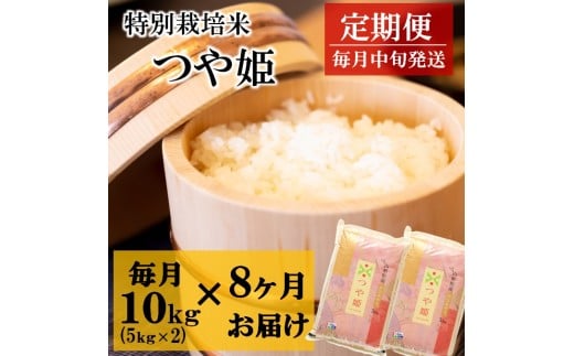 令和7年産【定期便8回】竹原田ファームの特別栽培米つや姫10kg（5kg×2袋）×8回　配送期間：令和7年10月～令和8年5月