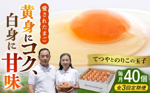 【全3回定期便】てつやとのりこの玉子 【 40個 】 糸島市 / 板垣ファーム 卵 たまご 鶏卵 [AWD020]