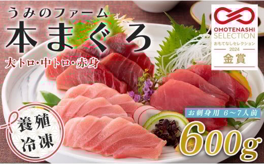 【高知県大月町産】うみのファーム お刺身用本まぐろ赤身・中トロ・大トロ  計600ｇ 2262463 - 高知県大月町