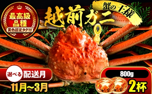【年内配送】【先行予約】 【12月配送】 越前がに 800ｇ×2杯 小浜市 / まるほ商店 【配送不可地域：北海道・沖縄・離島】[BFCS025-12] 2220402 - 福井県小浜市