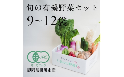 ＜毎月定期便＞しあわせ野菜畑の有機野菜　Lセット　(安心の有機JAS認証　オーガニック野菜)全6回【4066010】