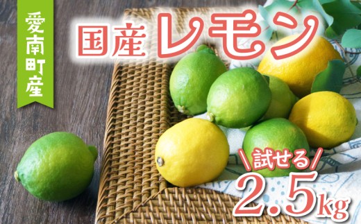 数量限定 先行予約 レモン 2.5kg 7000円 柑橘 檸檬 国産 れもん フルーツ 果物 果実 産地直送 農家直送 数量限定 期間限定 特産品 瀬戸内 ワックス 防腐剤 不使用 人気 新鮮 少量 お試し レモネード 塩レモン レモン酢 レモンソース はちみつレモン レモンケーキ レモンスカッシュ レモンサワー レモン酎ハイ ビタミン 規格外 あいなんマザーズ 愛南町 愛媛県