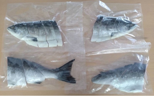 北海道産 塩時鮭 姿切身 1尾 約1.2kg （300g×4パック） [ 鮭 さけ 時鮭 貴重 焼き魚 魚 魚介類 サケ ]  [№5863-1379]