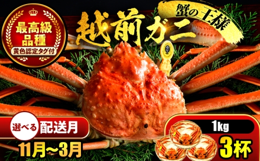 【先行予約】 【2月配送】 越前がに 1kg×3杯 小浜市 / まるほ商店 【配送不可地域：北海道・沖縄・離島】[BFCS032-2]