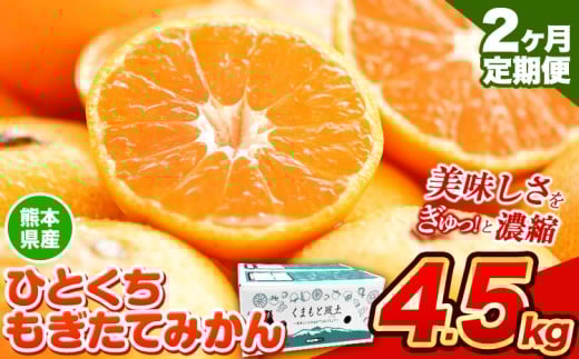 【2025年先行予約】【2か月定期便】訳あり みかん ひとくちもぎたてみかん 約 4.5kg (4.5kg×1箱) S-3Sサイズ 訳あり ご家庭用 熊本県産 （荒尾市産含む） 期間限定 フルーツ 果物 旬 冬 柑橘 小玉 みかん《2025年10月・11月出荷》