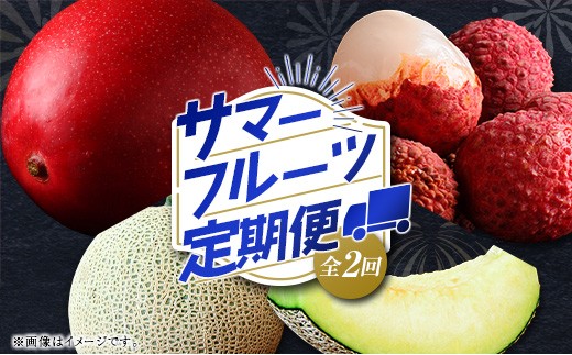 サマーフルーツ定期便 全2回 ＜メロン・マンゴー＆ライチ＞※2026年6月開始 旬 果物【E242】
