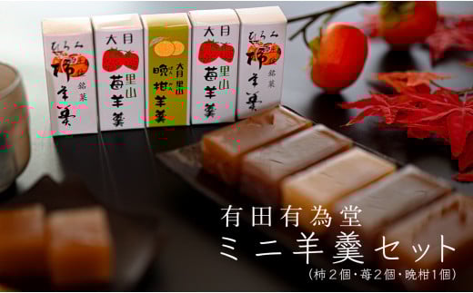 【大月の銘菓】ミニ羊羹セット(5本入) 2262573 - 高知県大月町
