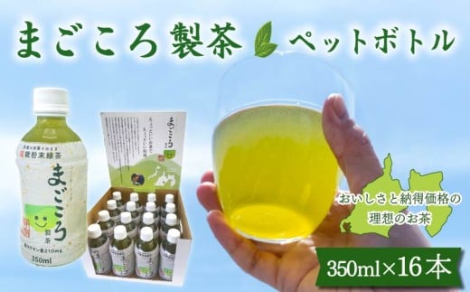 まごころ製茶 ペットボトル 350ml 16本 セット お茶 藤枝茶 緑茶 日本茶 飲料 持ち運び 便利 ペットボトル茶 微粉末緑茶 カテキン ご褒美 贈答 プレゼント 静岡県 藤枝市