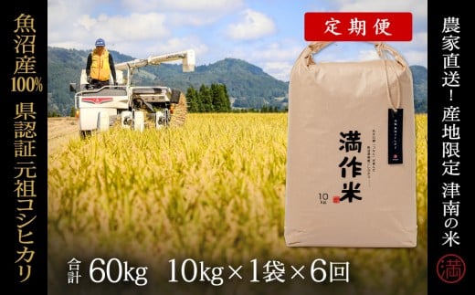 【2025年産新米】【6ヶ月定期便】合計60kg(10kg×6回)【県認証】元祖魚沼産コシヒカリ 713876 - 新潟県津南町