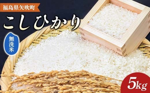 【先行予約】 令和7年産〈無洗米〉 福島県矢吹町の美味しいこしひかり 5kg コシヒカリ コメ 米 F6U-284