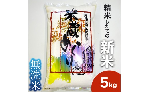 ＼新米 先行予約／ 米 5kg 無洗米 こしひかり 【令和7年産】 お米 白米 コシヒカリ 無洗米5kg 茨城県 城里町【配送不可地域：離島】 (BJ026)