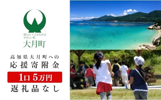 高知県大月町への応援寄付金5万円　【返礼品なし】