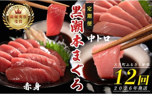 【定期便12回】日本一!黒潮本まぐろ 中トロ・赤身