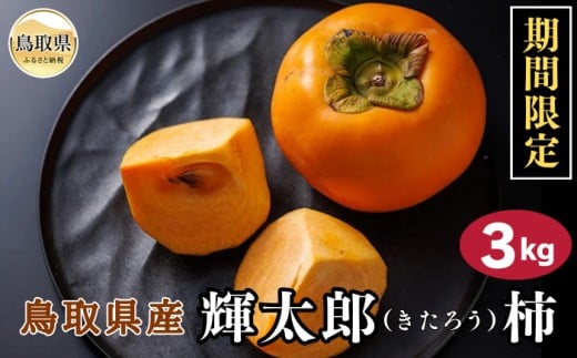 B24-331 鳥取県産輝太郎(きたろう)柿 3kg【期間・数量限定】 823221 - 鳥取県鳥取県庁