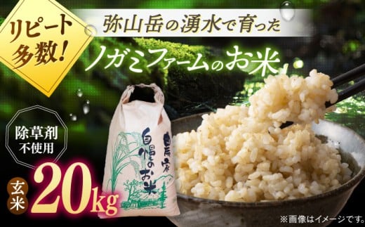 【新米 令和7年産】弥山岳の岩清水で育ったノガミファームの お米 玄米 20kg ▼ おすすめ 人気 ランキング 高評価 国産 福岡県産 九州 米 お米 玄米 ご飯 ごはん ゴハン 精米前 未精米 桂川町/NOGAMI FARM[ADAU012]