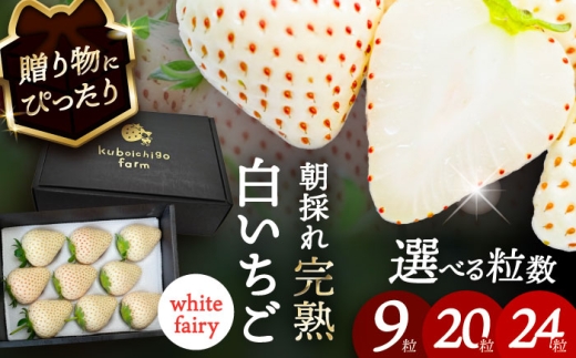 【先行予約】 ＼毎年1月より順次発送／ 白いちご　White Fairy 9粒 愛西市 / くぼ苺農園 【配達不可：北海道・沖縄・離島】 [AECJ016]