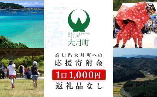 高知県大月町への応援寄附金【返礼品なし】