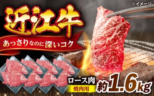 近江牛焼肉ロース1.6kg 滋賀県長浜市/有限会社旭ミイト [AQDB026] 近江牛 牛肉 赤身 スライス 焼き肉 BBQ バーベキュー 国産牛肉 牛肉 肉 お肉 おにく 和牛ブランド 牛国産 産地直送 お取り寄せ 人気 プレゼント ギフト 贈答 2258099 - 滋賀県長浜市