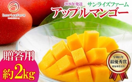 【2026年発送】令和6年最優秀賞サンライズファームのマンゴー贈答用　約2kg アーウィン 果物 甘い 夏 濃厚 ギフト Mango ランキング 完熟 お気に入り 収穫 人気 甘味 フルーツ 沖縄県 国産 食品 デザート 産地直送 宜野座村 808525 - 沖縄県宜野座村