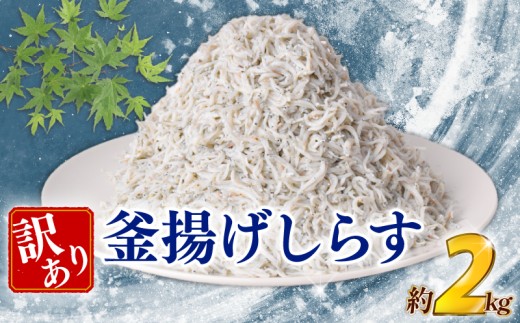 訳あり 釜揚げしらす 約2kg しらす 冷凍 大容量 惣菜 便利 弁当 晩ごはん 白州 白子魚介類 魚介類 海鮮 わけあり 小魚 魚 鮮魚 グルメ 人気 海の幸 ふりかけ ちりめん しらすご飯 国産 じゃこ しらす丼 人気 塩分控えめ 減塩 安芸市 高知県
